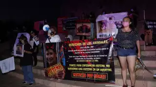 El 26 de mayo del 2021 cobraron vigencia las reformas a la ley para la protección de la fauna en Yucatán