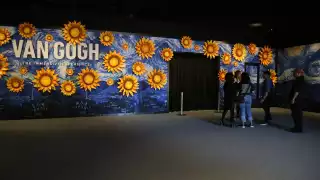 Esta experiencia única estará abierta al público hasta el 18 de junio