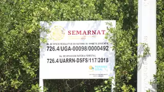 La Semarnat autorizó la ampliación y la construcción de un nuevo camino que permitiera la electrificación de la zona