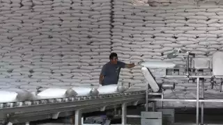 Producción de azúcar en Quintana Roo, la cuarta mejor del País