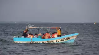 Muchas embarcaciones han comenzado a huir de los efectos de Grace que ya se sienten en Quintana Roo