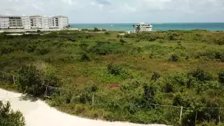 La edificación del centro de hospedaje afectará el medio ambiente