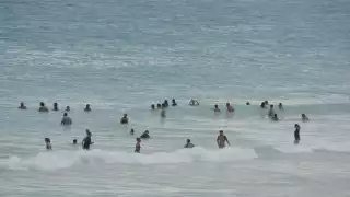 El sargazo es ya minimo en las playas de Cancún
