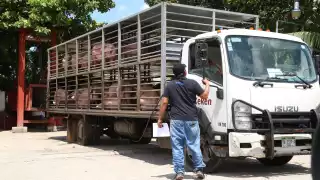 En el 2008, el Gobierno federal penalizó el uso de clembuterol en animales para consumo humano