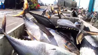 Barco atunero en Mazatlán, Sinaloa (Cuartoscuro)