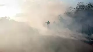 PROCIVY ha apoyado a sofocar el fuego en 60 de los casos