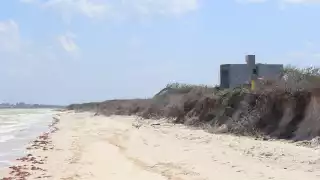 El 29 de enero de 1990, por el Acuerdo 35, publicado en el Diario Oficial de la Federación se delimitó la Reserva de El Palmar