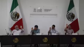 La iniciativa fue presentada por los diputados Gaspar Quintal Parra y Karla Franco Blanco