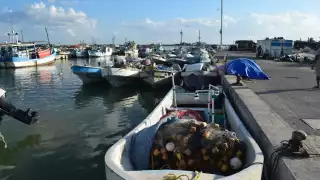 Localizan en Celestún a los 5 pescadores náufragos en Progreso