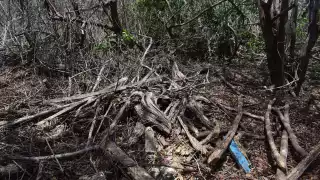 Fotos: Jesús López