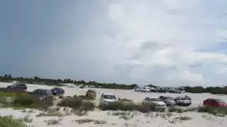 Autos invaden las dunas de Chuburná, área de anidación de tortugas en Yucatán