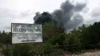 Hasta el momento no se ha visto un programa para este rubro