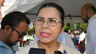 La Secretaria de Salud espera el informe oficial del Gobierno federal sobre casos de dengue