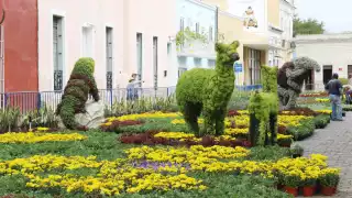 El paseo de las flores será inaugurado este 6 de diciembre