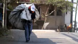 José Nabor Cruz, secretario ejecutivo del Coneval, opinó que en las casas que perciben dos salarios pueden tener carencias