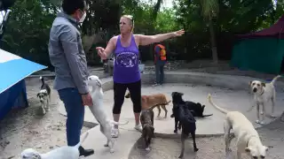 El espacio abrirá al público durante los primeros días de enero de 2022. Veterinarios brindarán atención 24 horas al día