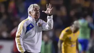 Aficionados piden a Tuca Ferretti en Pumas