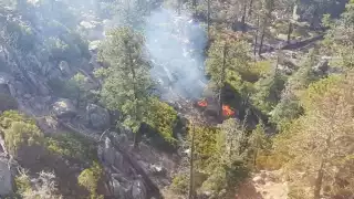 Campeche quedó debajo de Quintana Roo en el ranking de incendios forestales registrados en México