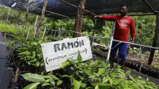 El objetivo de estos fondos es facilitar el acceso a préstamos por medio de operaciones de crédito y descuento