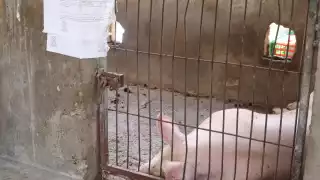 Más de 500 pobladores fueron intoxicados en el llamado “domingo negro” en Seyé