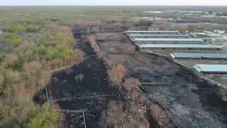 Desarrollo Sustentable desestima denuncia por malos olores de una granja porcícola en Mérida