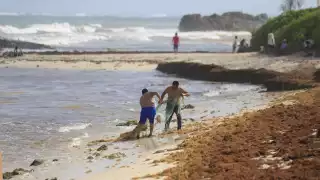 Según el informe del Instituto Oceanográfico del Golfo y Mar Caribe, la parte más afectada será de Puerto Aventuras a Playa del Carmen