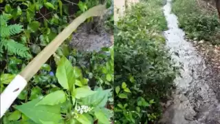 El derrame de aguas negras en Punta Sur se suma a los ocurridos en Isla Mujeres, que llegan a las playas y contaminan el mar