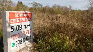 “Hogare Palmira” vende espacios en Sierra Papacal