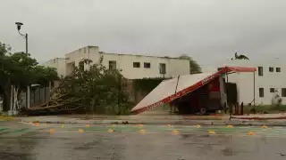 Algunos comerciantes tuvieron que dar fiado otros rentar plantas de energía para mantener sus productos