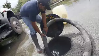 Península de Yucatán, sin leyes que protejan el agua de las granjas porcícolas