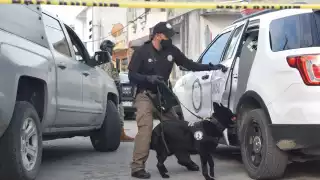 Es el segundo operativo antidrogas realizado en 2023 en Progreso