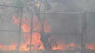 Según datos de la dependencia, el año pasado se reportaron al menos 418 incendios