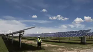 Se espera que el parque fotovoltaico se construya sobre al menos 246 hectáreas de selva en Valladolid