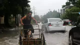 El paso de este fenómeno causó desgajamiento de ramas, caída de árboles, así como de postes y cables de electricidad en la colonia. Foto: Erick Marfil