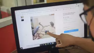 La reforma permitirá que la FGE pueda vigilar en redes y medios de comunicación los intercambios