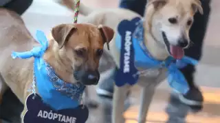 El hospital tendrá una inversión de 15 millones de pesos