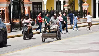 Intensificarán labores de fumigación en todo el Estado de Campeche