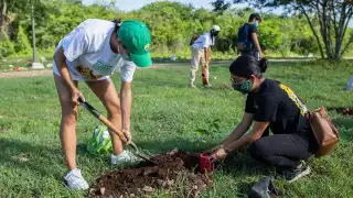 La reforestación ha sido una de las actividades más promovidas en estas fechas