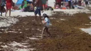 La cantidad de sargazo no afectó la asistencia a las playas de Cancún, pues se pudo notar una afluencia moderada de turistas