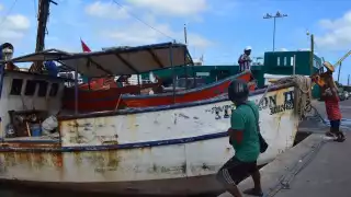 Los hombres de mar llevan tres meses preparando sus embarcaciones para la temporada de pulpo