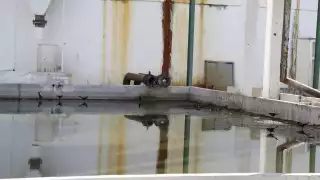 Al llegar al manto freático, es posible que las aguas residuales se fusionen y se ingieran por el humano