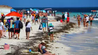 Según los prestadores de servicios turísticos, los visitantes mayormente realizan actividades acuáticas, como pesca, snorkel y buceo