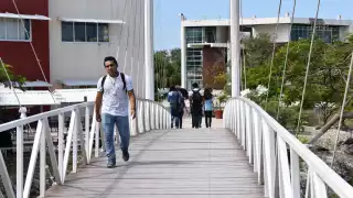 Algunos jóvenes informaron que para controlar su ansiedad consumían comida chatarra