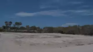 Semarnat niega lotificación en un área protegida para el proyecto inmobiliario 'Marela Celestún'