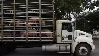 El conductor resultó con varios golpes