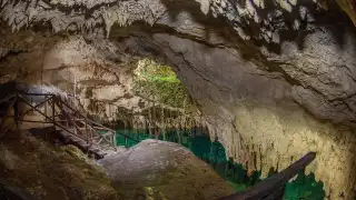 Cenote Zapote: El Ecoparque Prehistórico