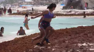 El recale de sargazo en las playas de Cancún no impidió que los bañistas disfrutaran de nadar y caminar a la orilla del arenal