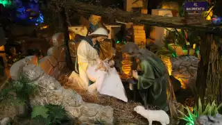 Las puertas del albergue de adultos mayores estarán abiertas de 10:00 a 20:00 horas