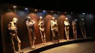 Foto: Twitter Gobierno del municipio de Guanajuato