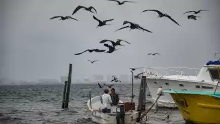 La nube proveerá a la península amaneceres y atardeceres rojizos y cielos grises en algunos sectores
